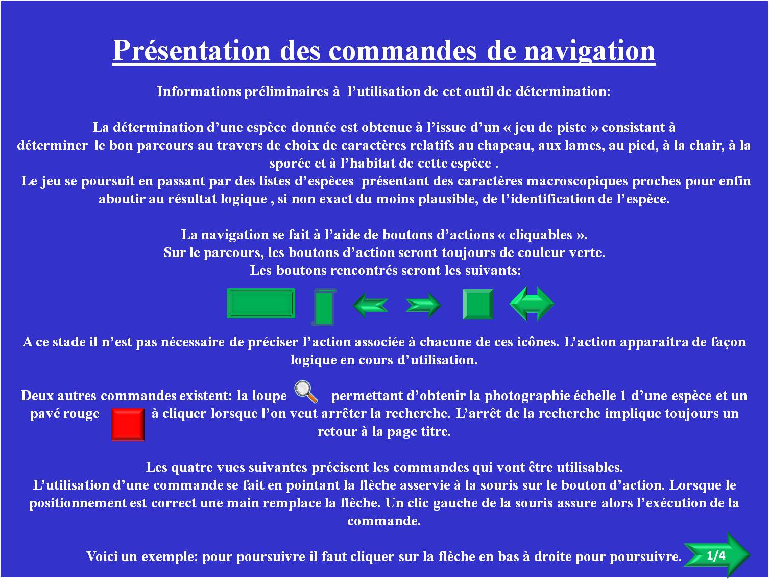Clés de détermination