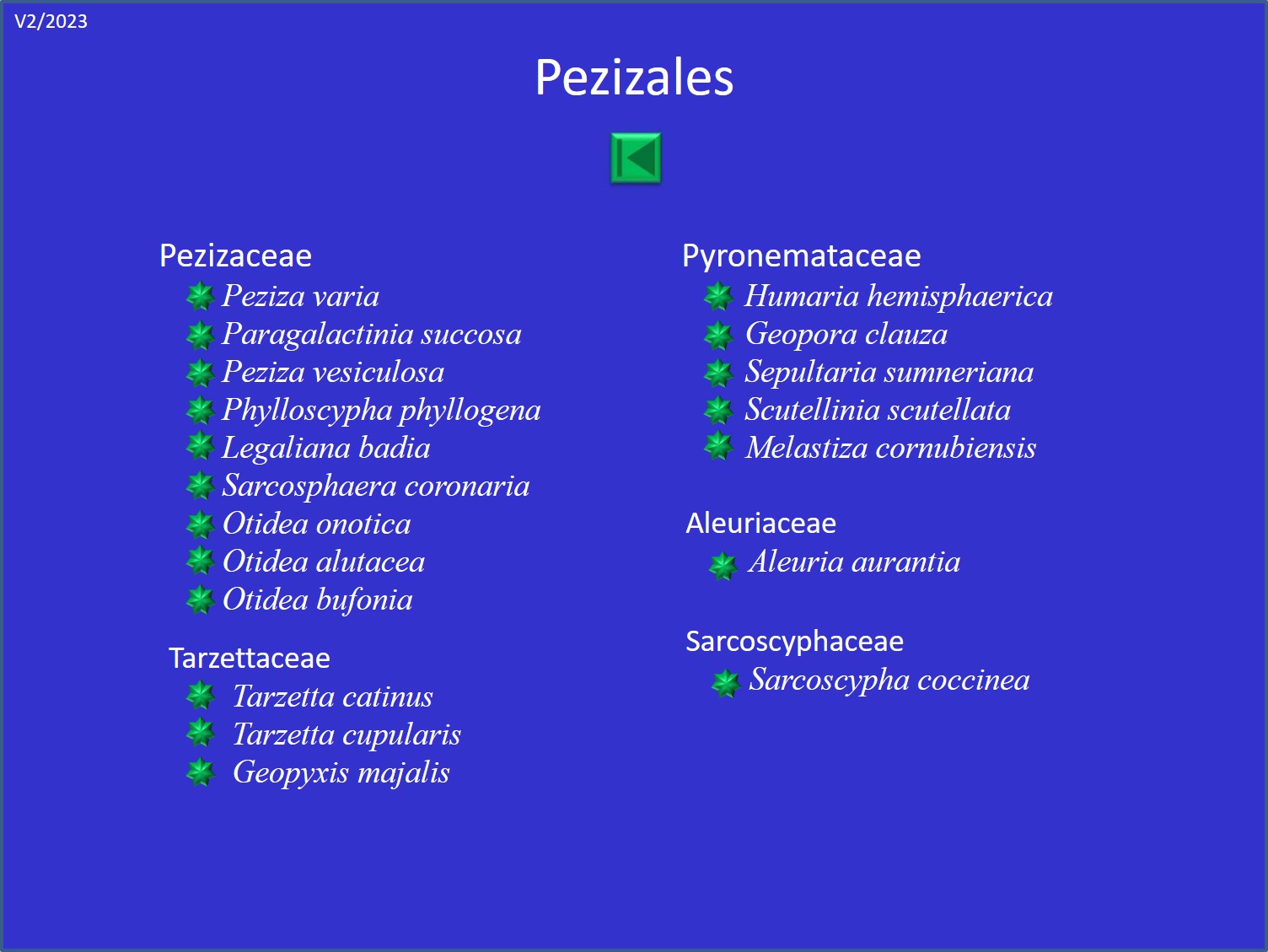 Liste des pezizaceae/otideaceae, pyrenomataceae; aleuriavceae, pyr