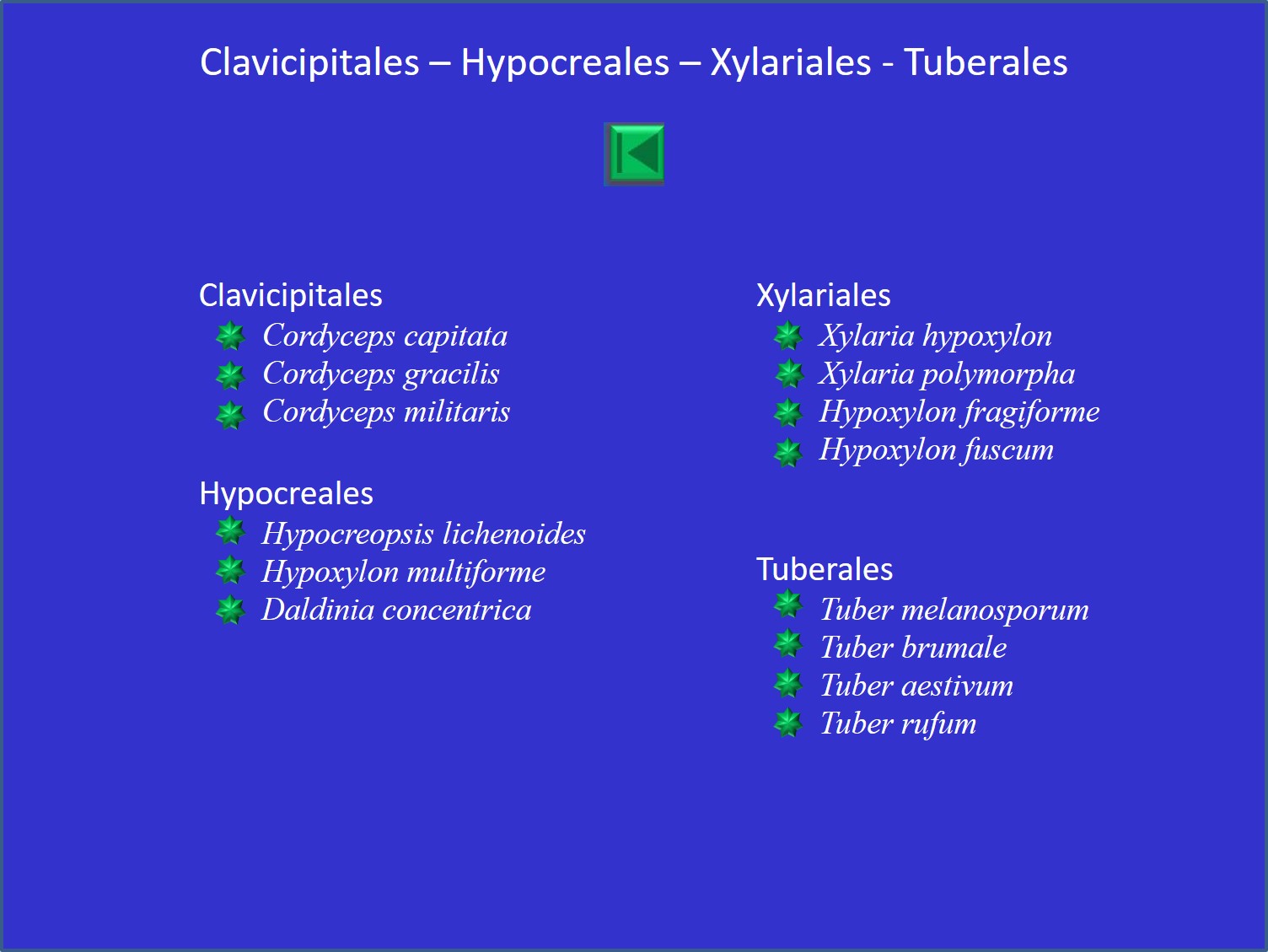 Liste des clavicipitaceae, hypocreaceae, glariaceae