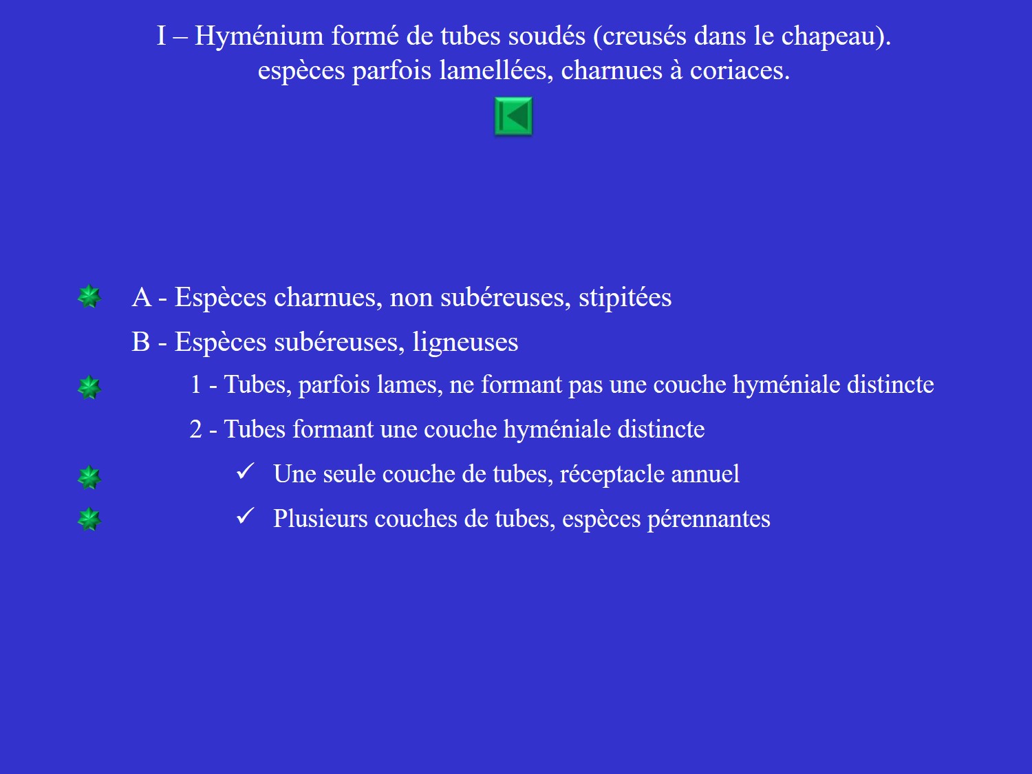 Liste I-A : les polypores - espèces charnues, non subéreuses, stipitées