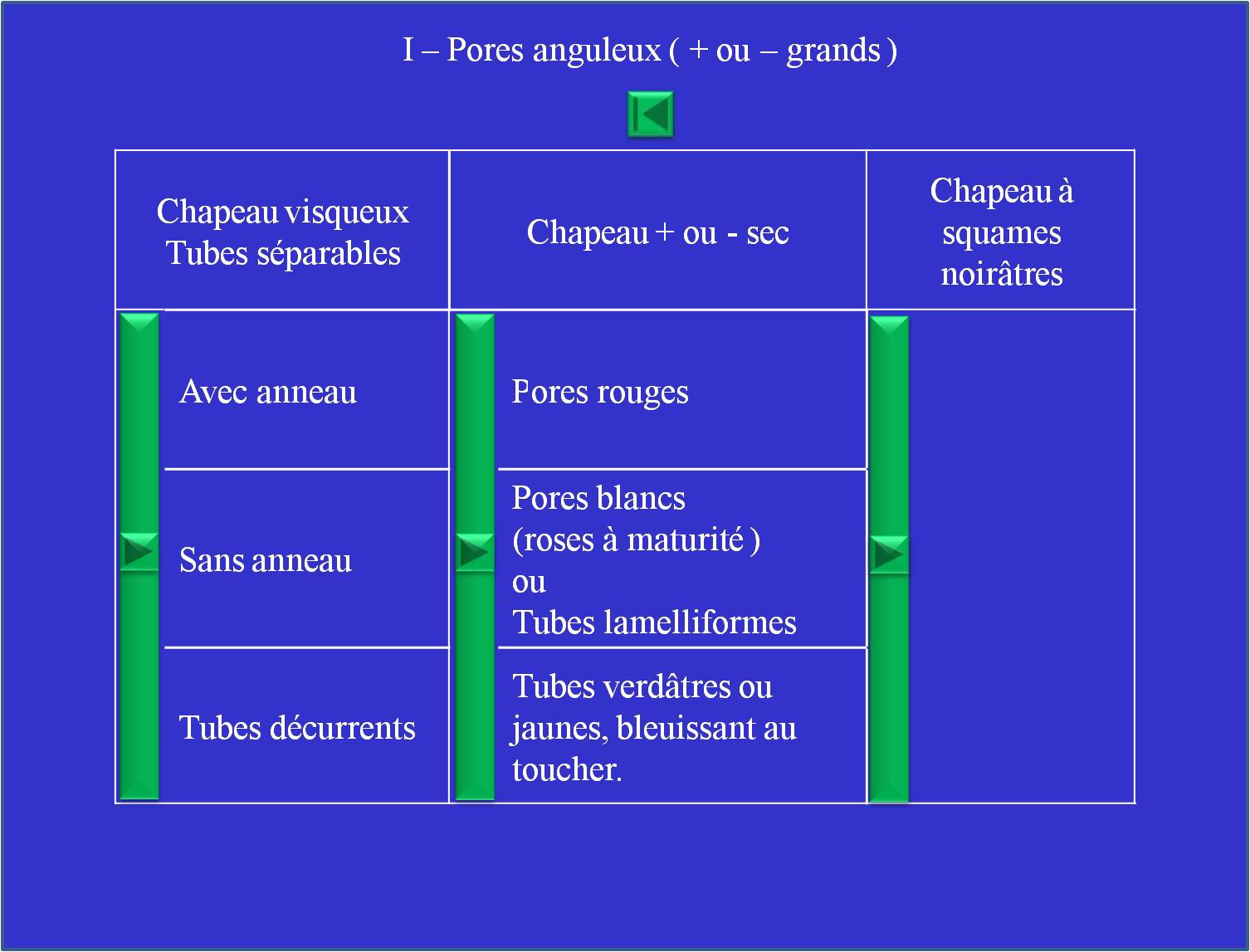 Tableau II: Bolets