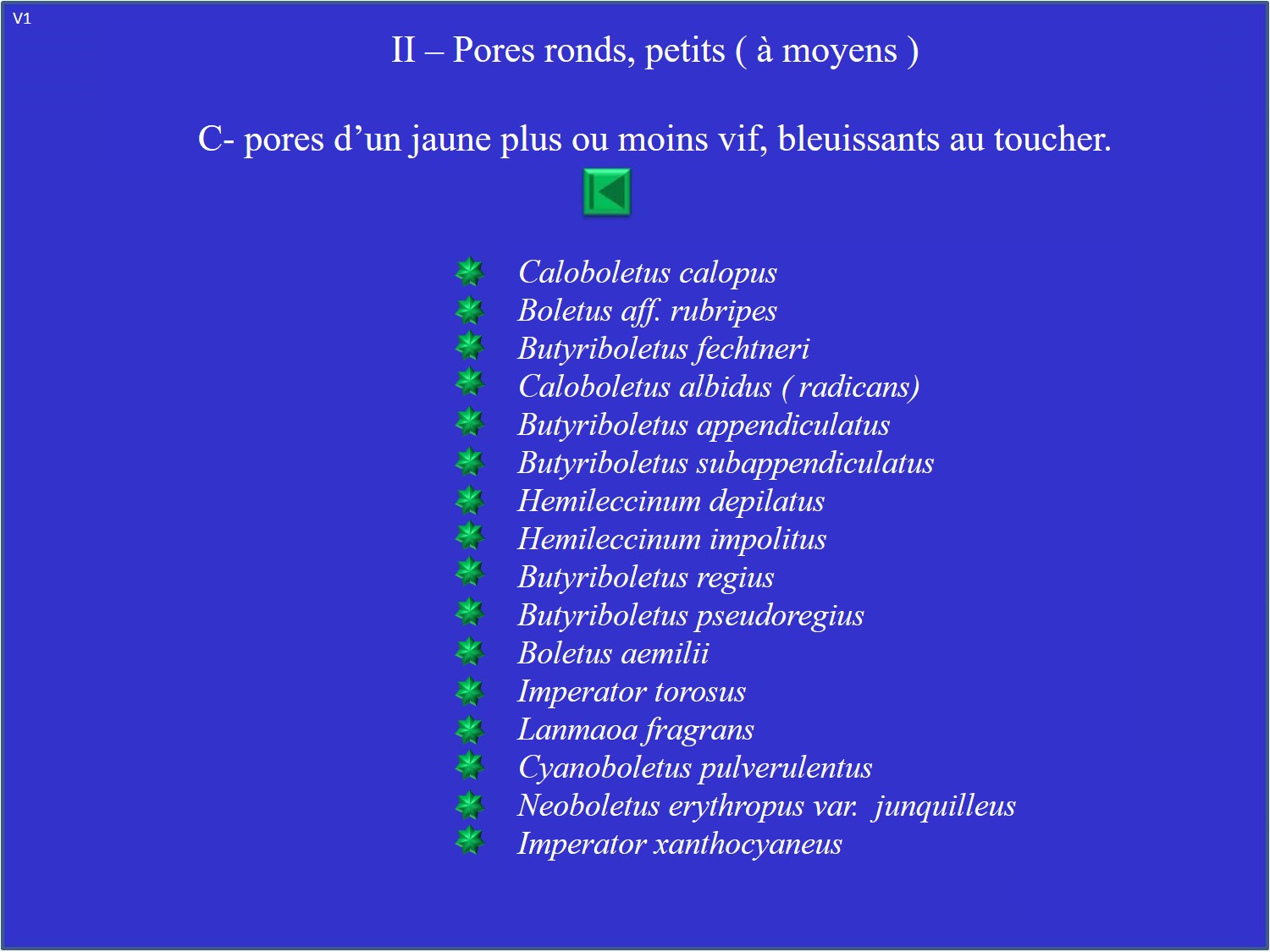Liste II-C: les Boletus
