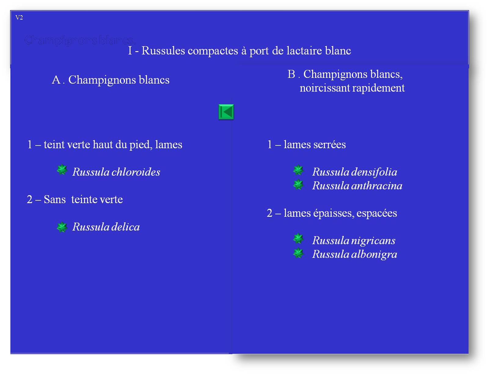 Liste I-A: Russules compactes à port de lactaire blanc, blanches.