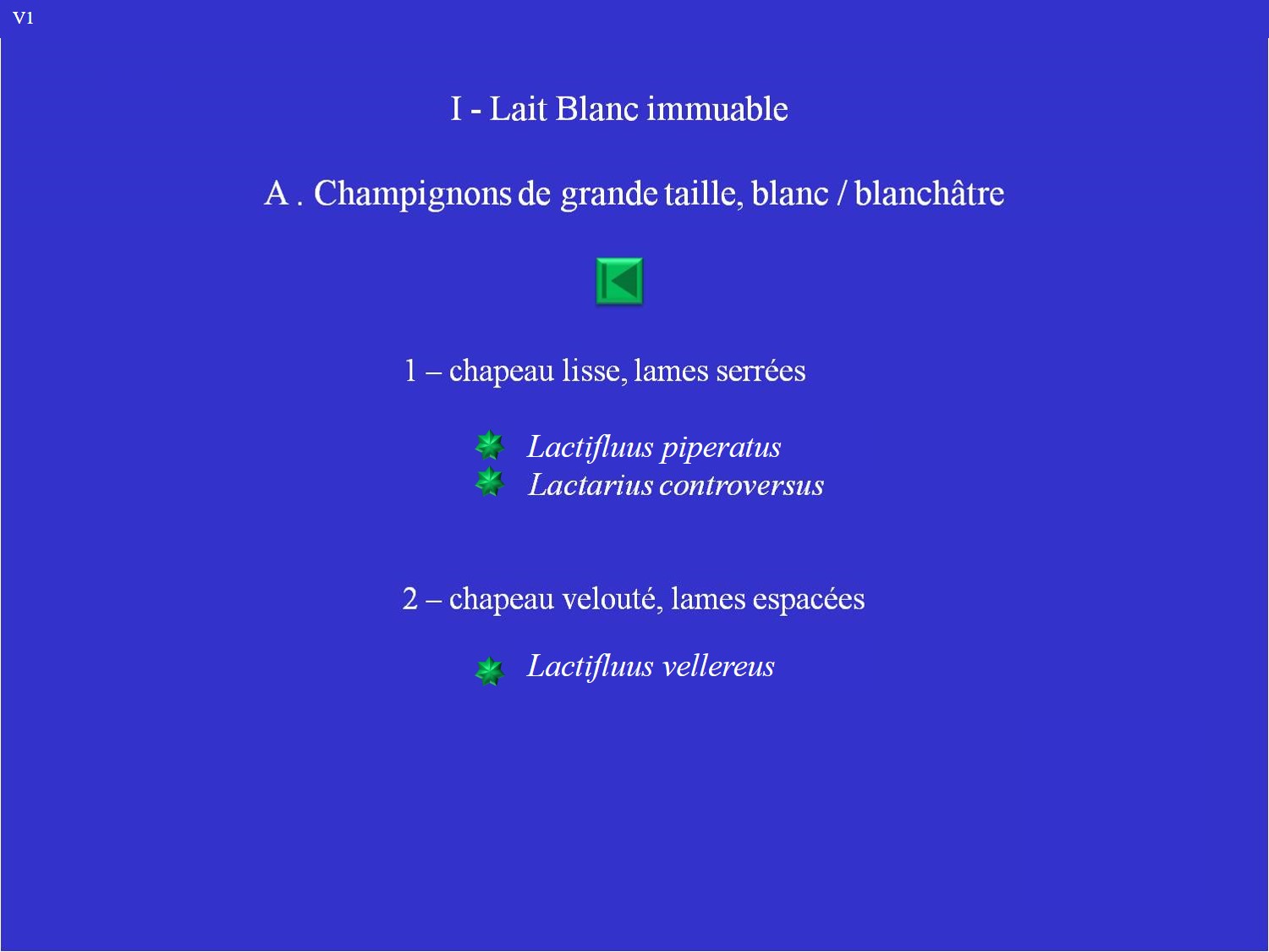 Liste I-A: Lactaires lait blanc immuable - grande taille.