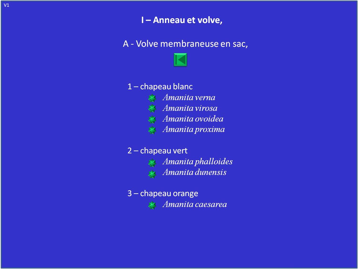 Amanites - Liste I-A: