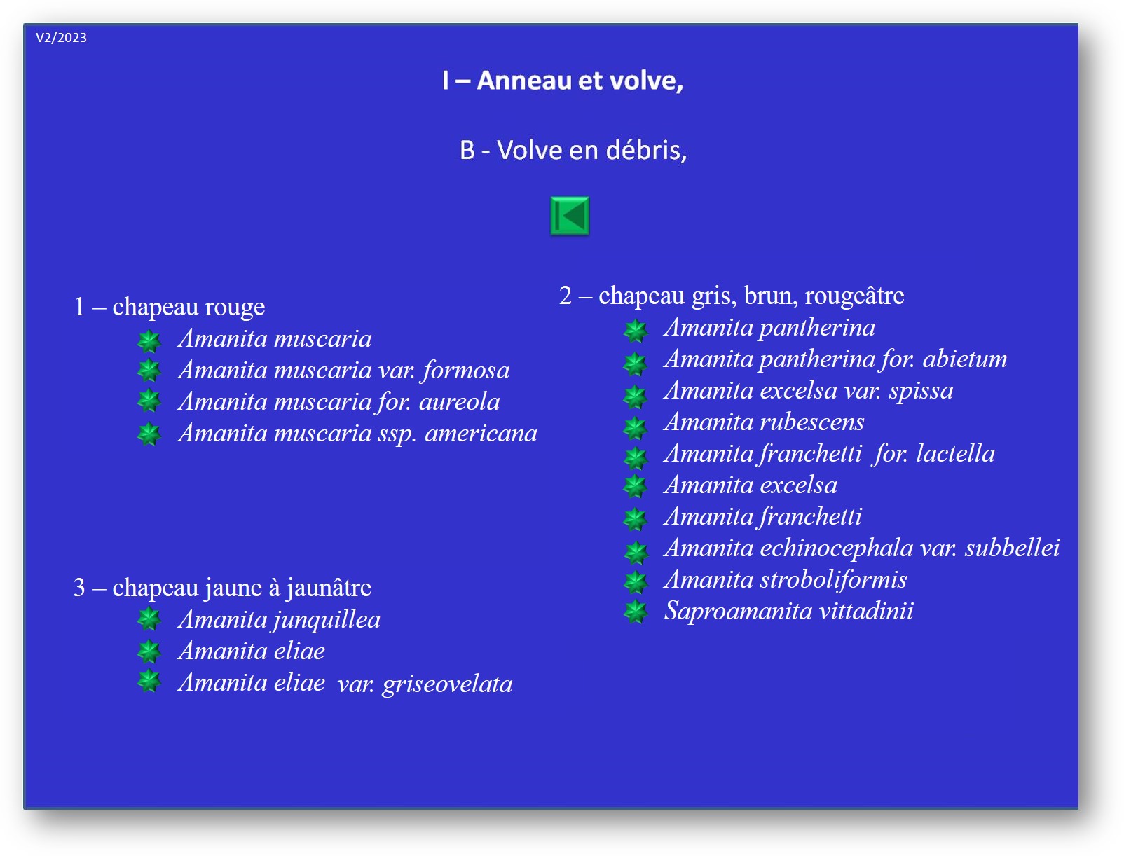 Amanites - Liste I-B: