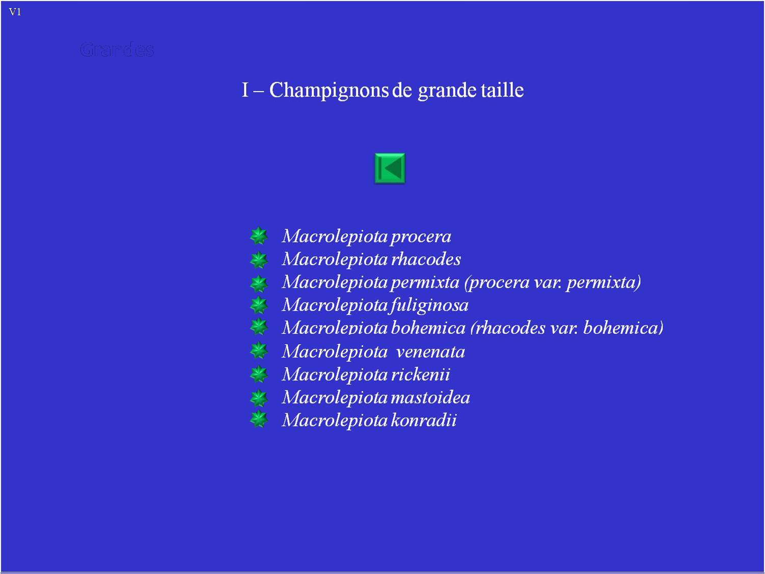 Lepiotes - Liste I: