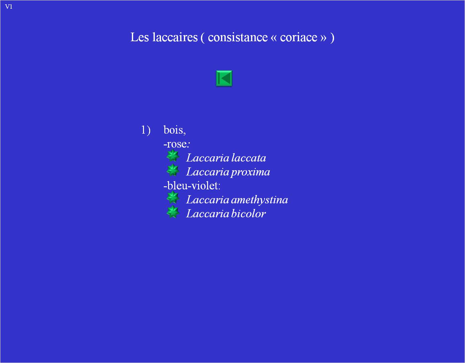 Les marasmes