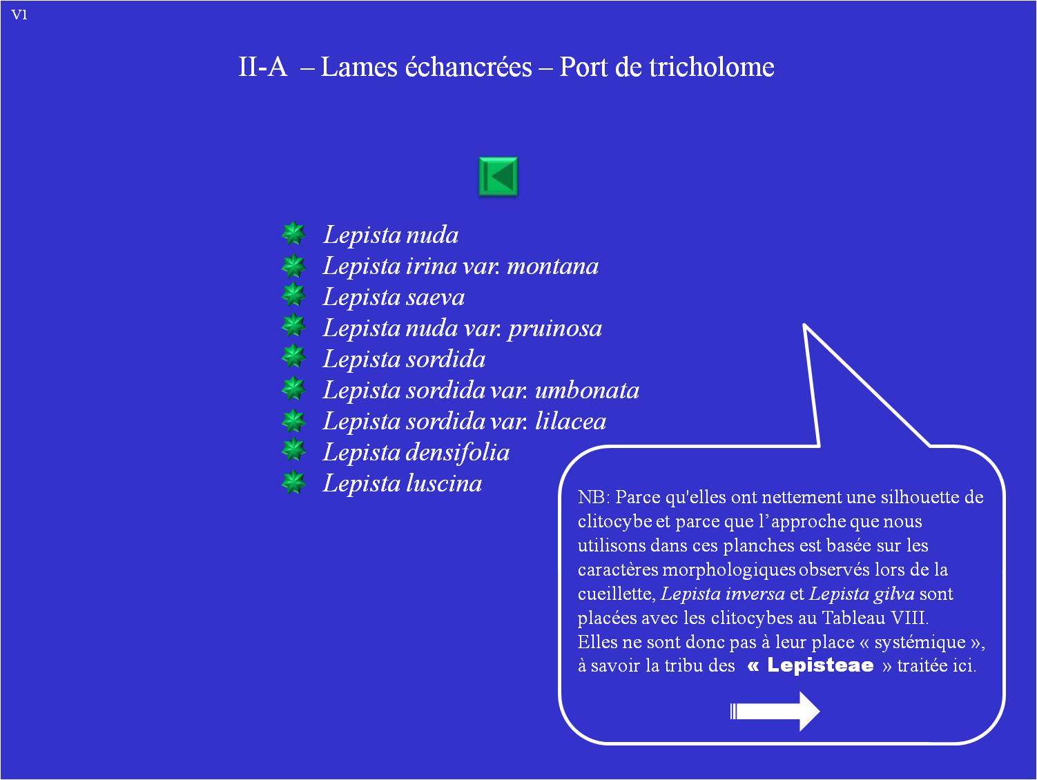 Lepista