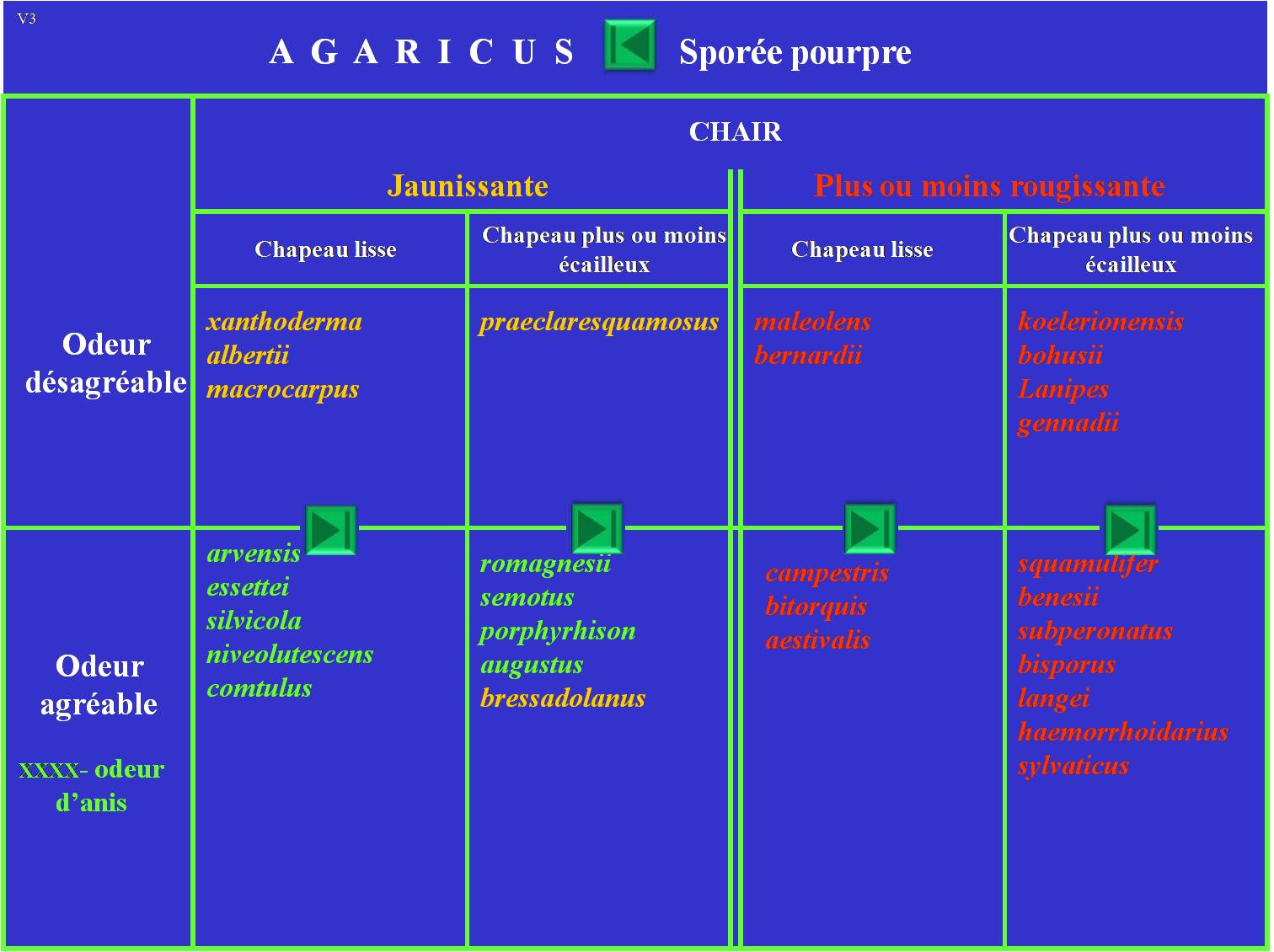 Les Agarics - Liste A: