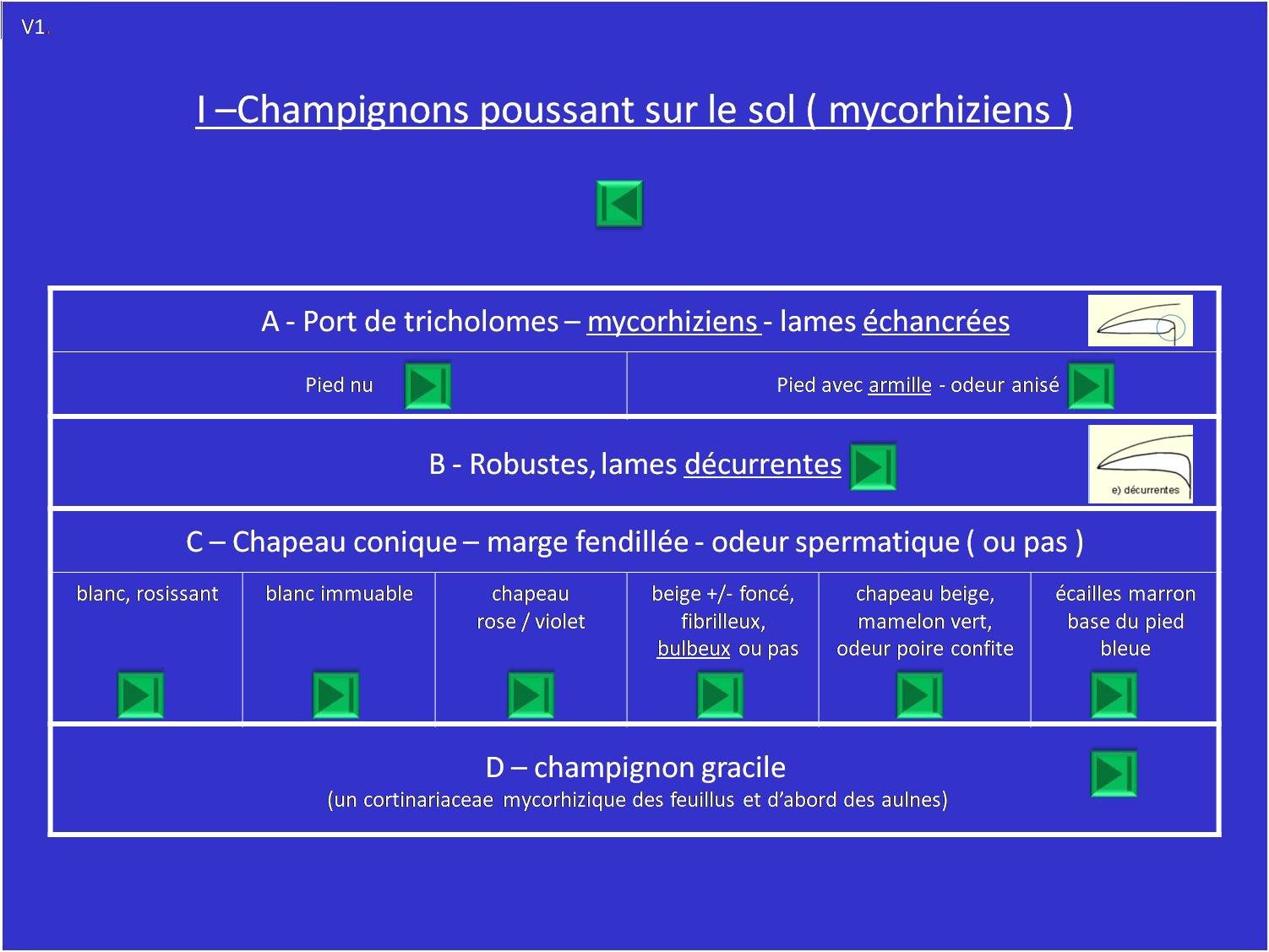 sporée ocre-rouille - mycorhiziens
