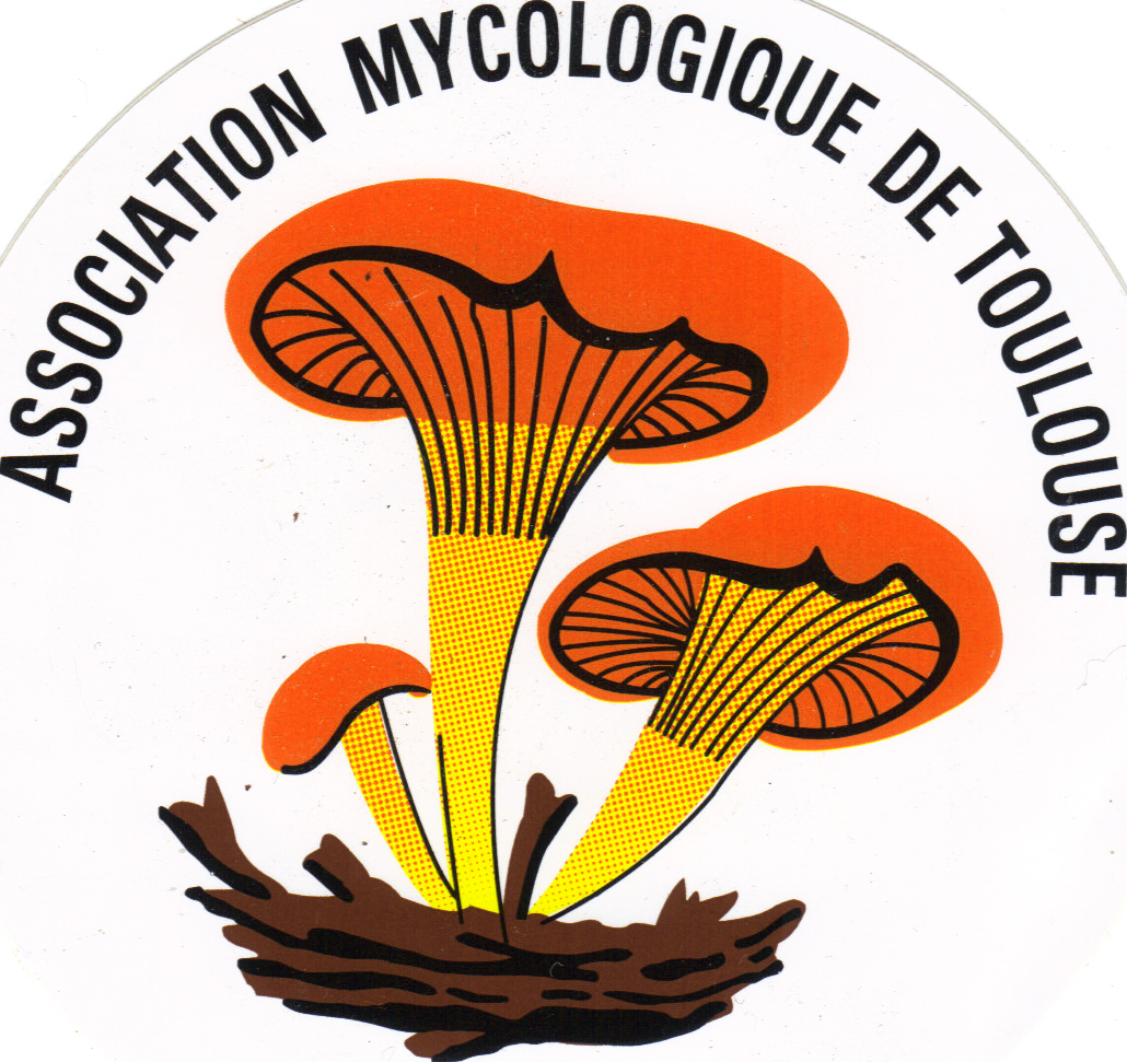 Association Mycologique de Toulouse